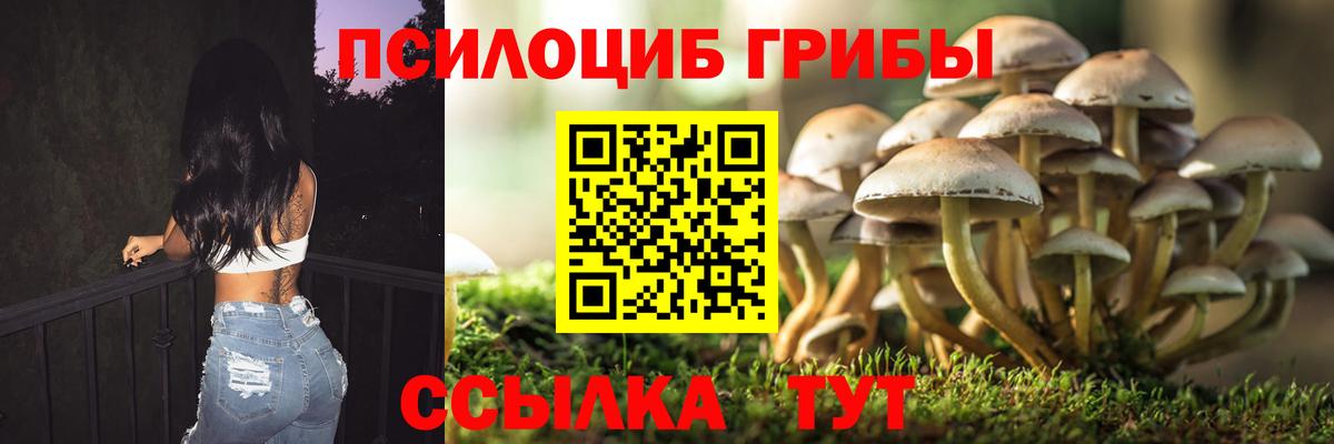 Комсомольск-на-Амуре  Псилоцибиновые грибы Magic Shrooms  Псилоцибиновые грибы Psilocybine cubensis  Вход с VPN 